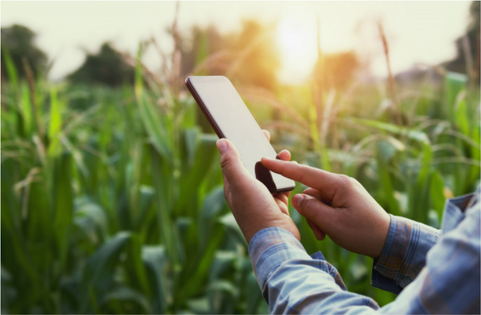 Farmer with his Mobile