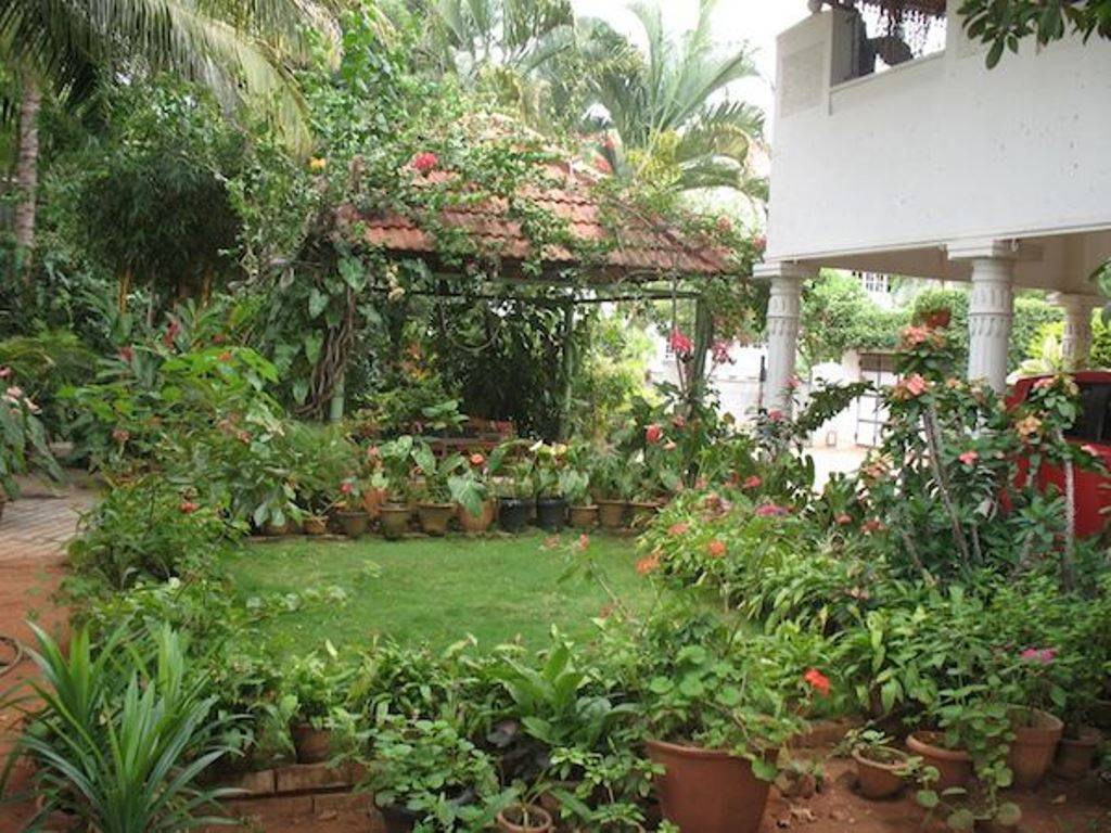 Home Garden