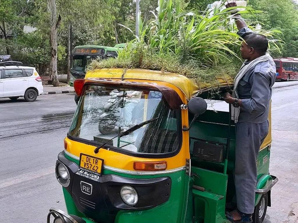 Mahendra Kumar with his Garden-Auto