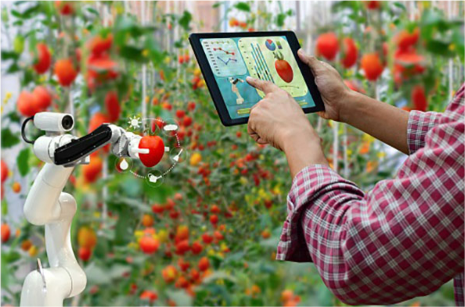 Digital Agriculture