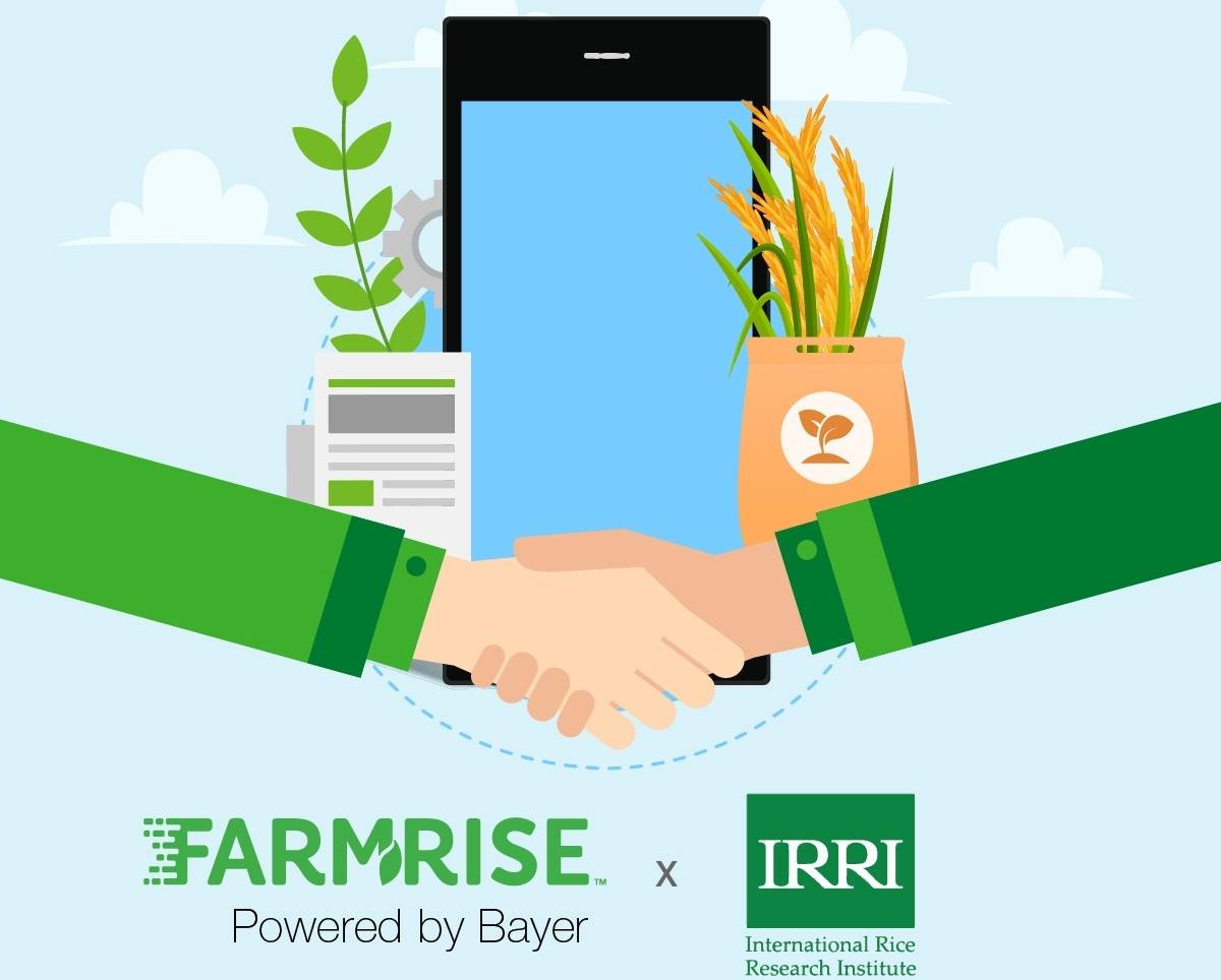 FarmRise & IRRI Joins Hands to help Farmers