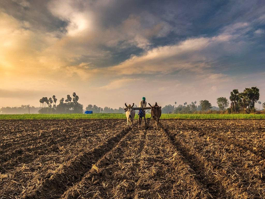 60% to 65% of India's population still relies on agriculture and its allied industries