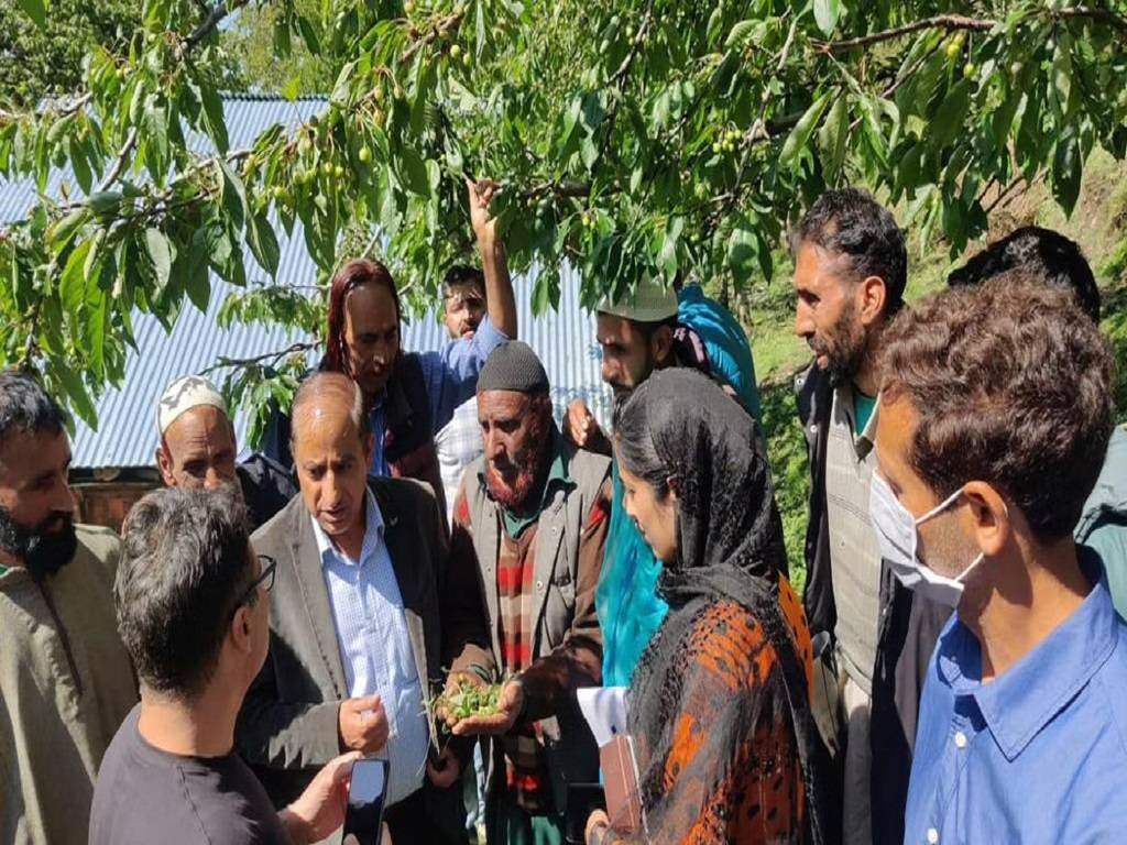 Ajaz Ahmad Bhat, Director General Horticulture, on a visit to a fruit orchard destroyed by the hailstorm on Friday.