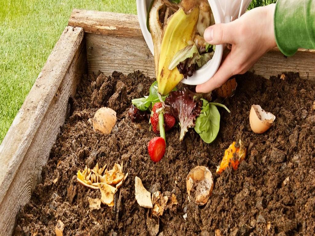 You can prepare compost at your home using waste bio-degradable products
