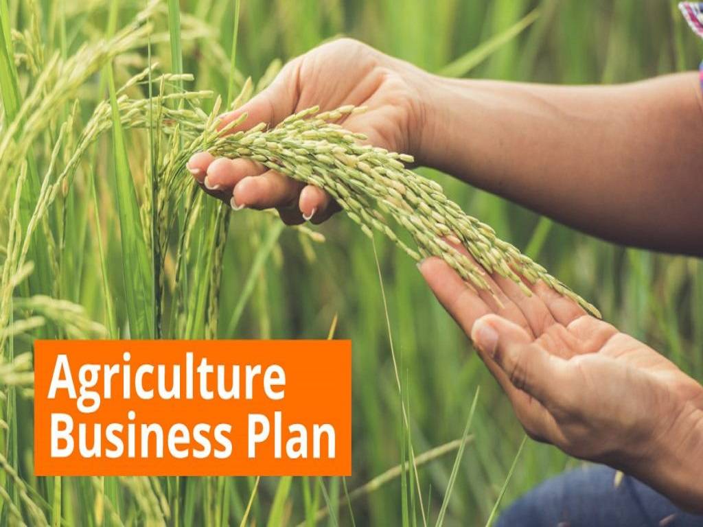Start your agribusiness with a masterplan to boost revenue