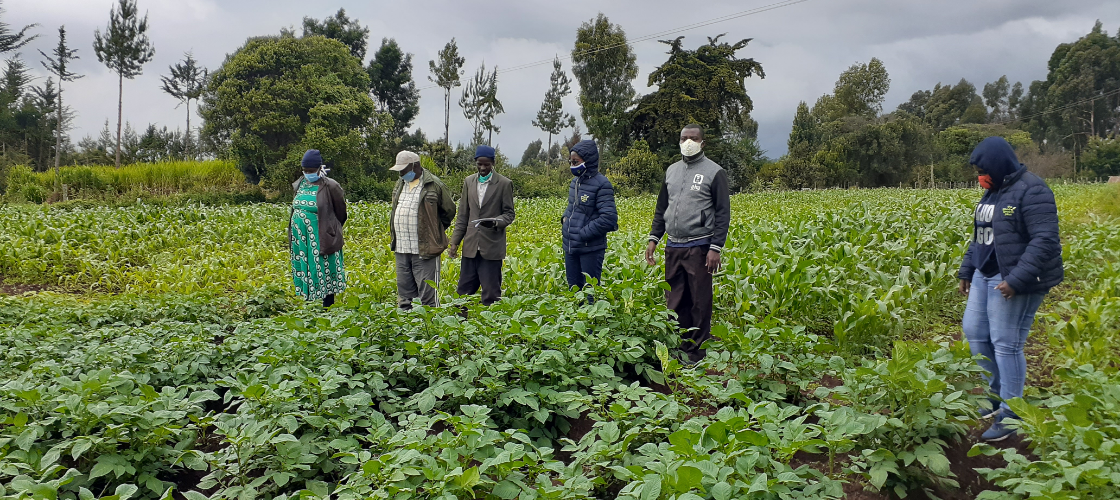 Overall, the Group Members had 870 Man days of employment, produced 77,055 Seedlings, and earned Rs. 6, 83,750 by selling the various seedlings with a B: C ratio of 2.98.