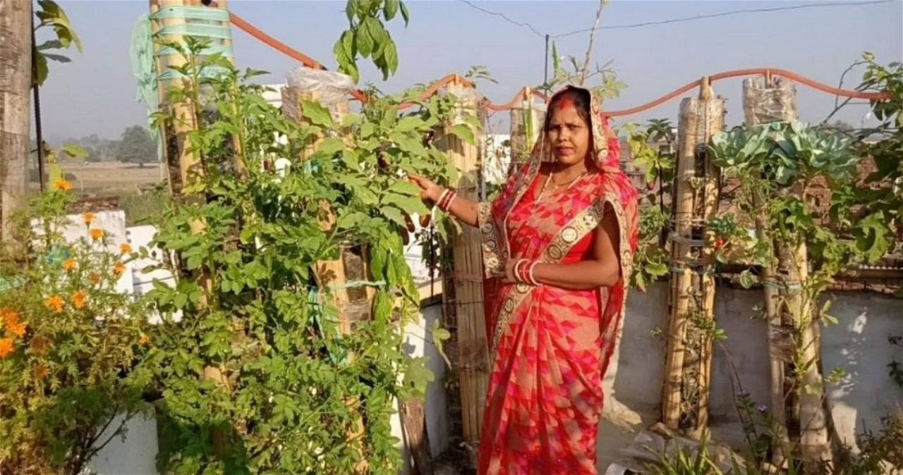 Gardening in two five-foot PVC pipes costs roughly Rs 1,000 on average.