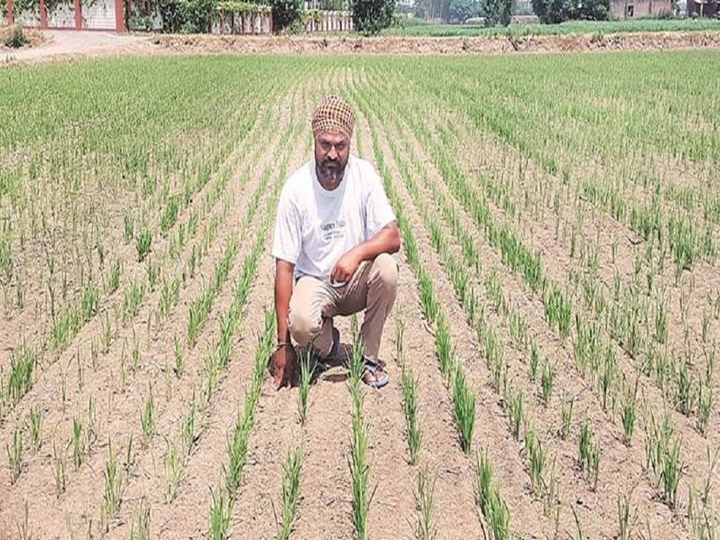 Farmers using direct sowing method will receive Rs.4000