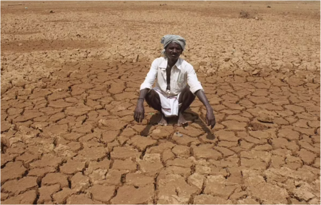 Drought Affected Land