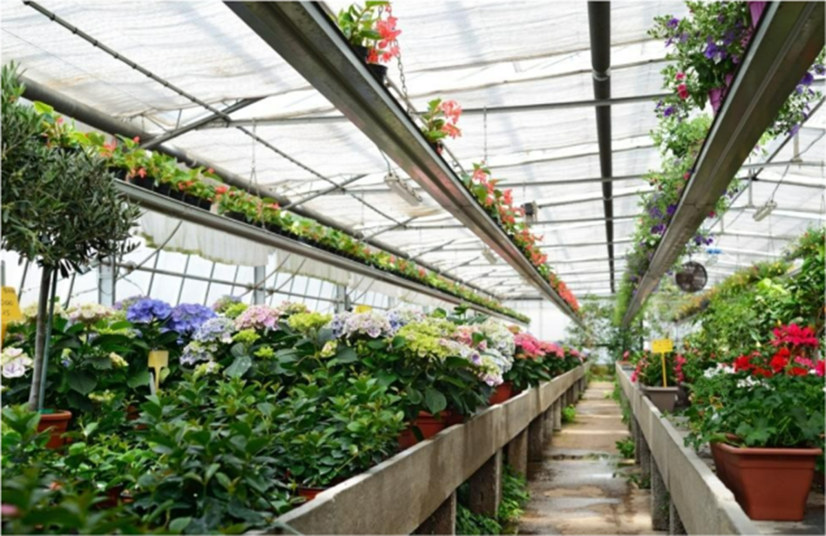 Horticulture Technology