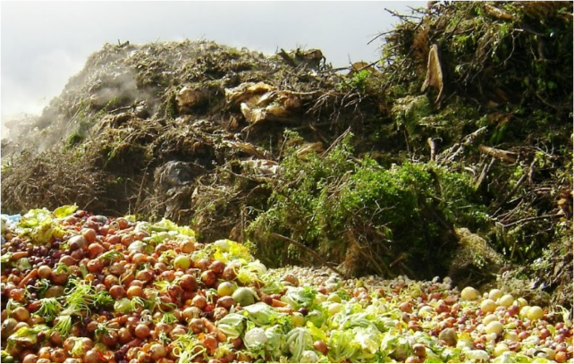 Agricultural Waste