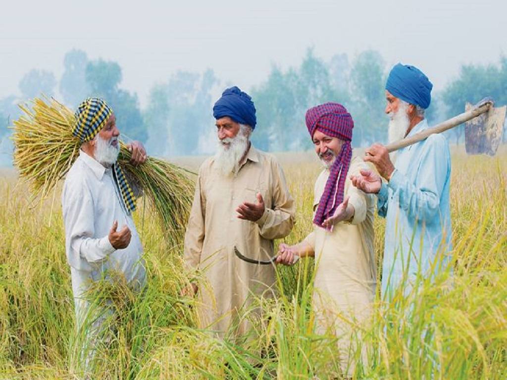 The dairy farmers had high hopes and expectations from the current government