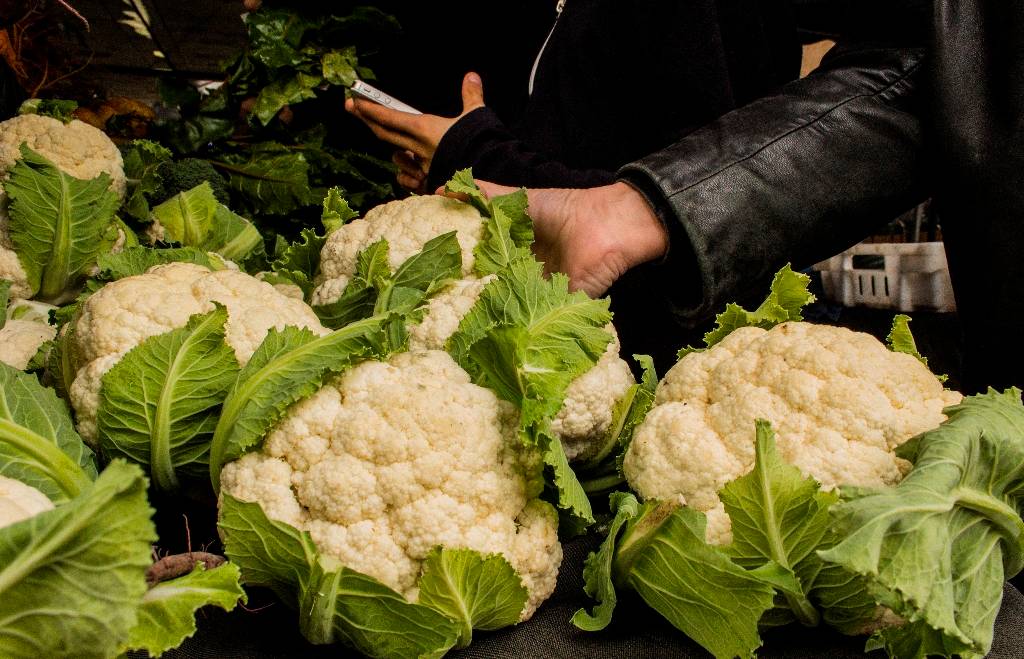 Production, Marketing and Export of Cauliflower