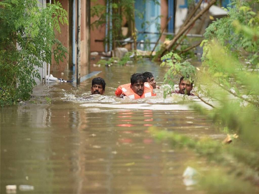 In terms of food grains, Ramdinliani stated that the state currently has sufficient rice storage.