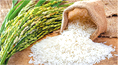 SOP Issued to Maintain Desired Quality Standards for Implementation of ‘Rice Fortification’