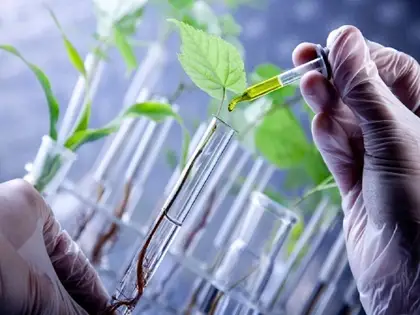 Government Revises Biosafety Guidelines for Genome-Edited Plants