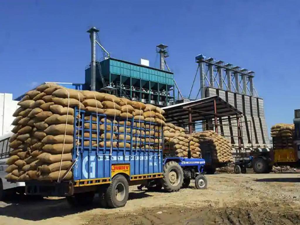 India's wheat exports have increased considerably in recent years.