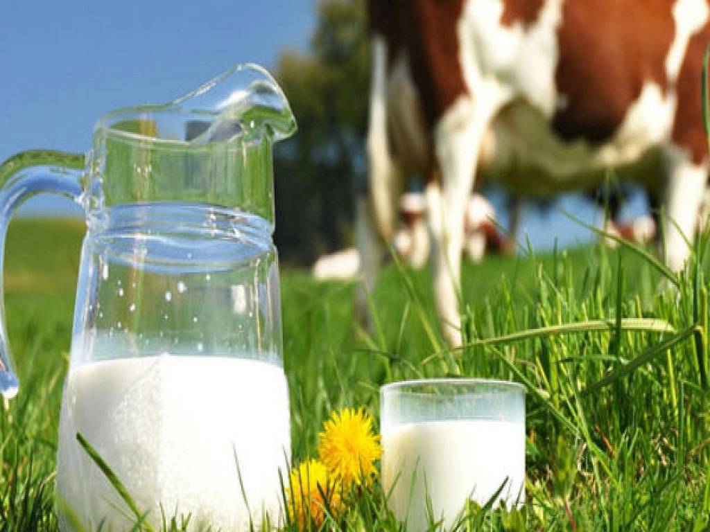 Farmers from throughout the state gathered outside the Verka milk facility in Mohali.