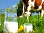 Dairy Farmers in Punjab Demand Hike in Milk Prices