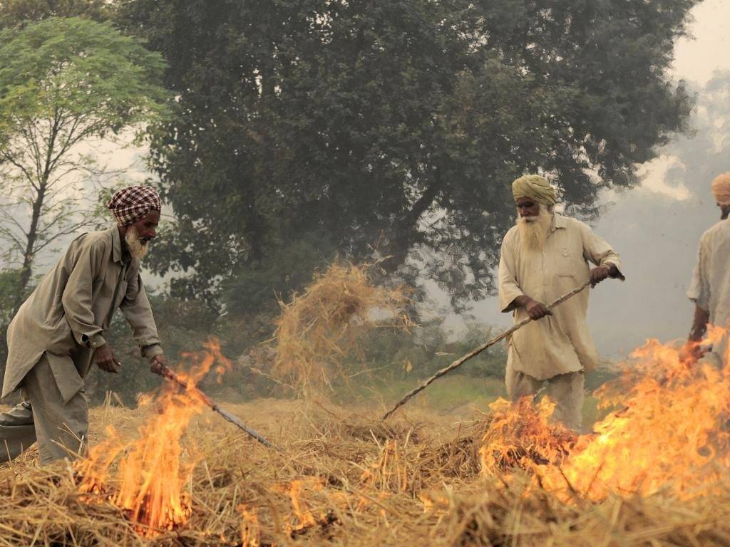 Crop Reside Burning