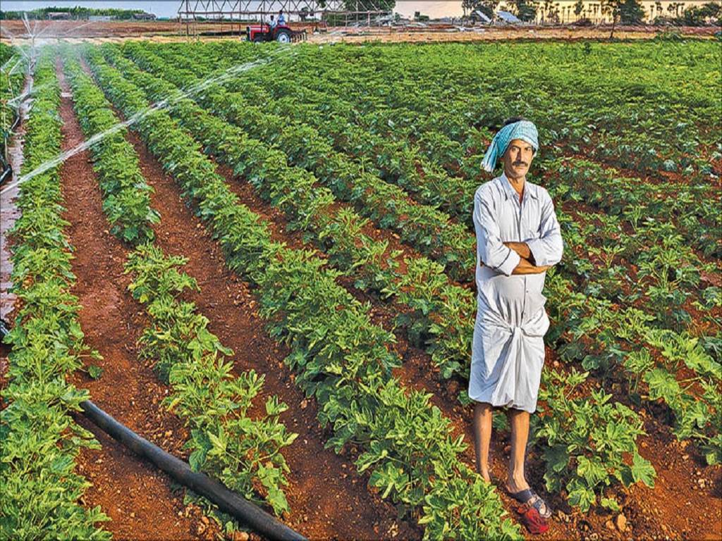 Farmers have advised using subsoilers as it will break the hardpans in the soil.