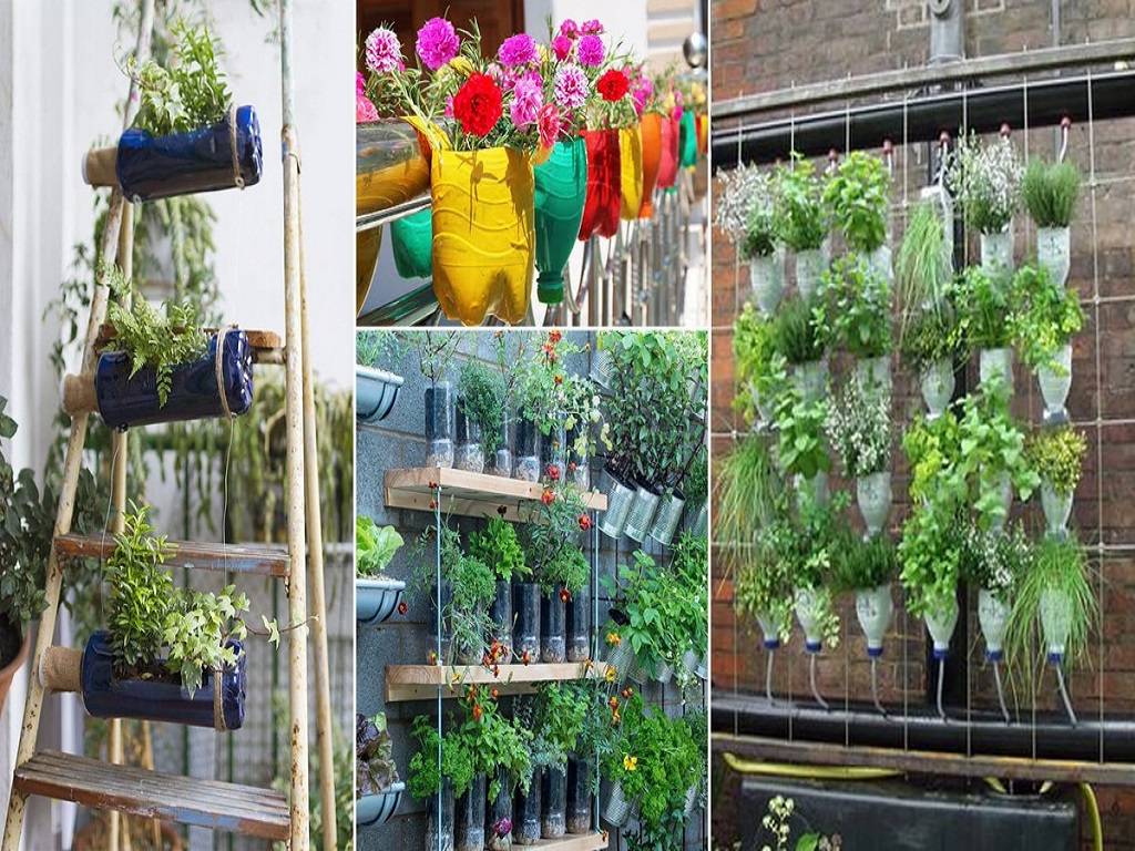 You can do vertical gardening even on the balcony walls