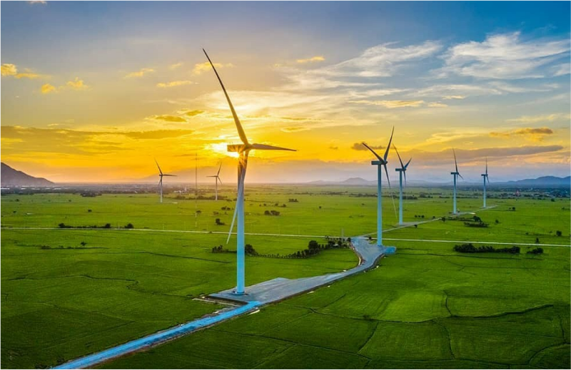 Wind Turbines (Renewable Energy)