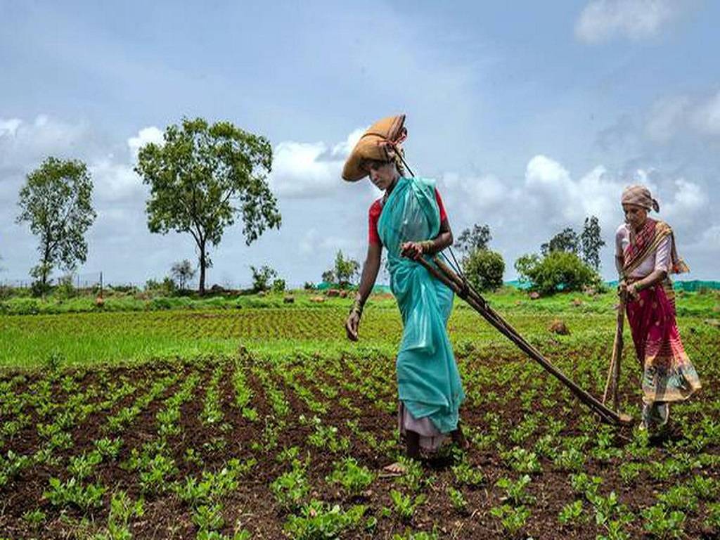 Farmers should not hurry their sowing activities since a dry spell is a forecast.