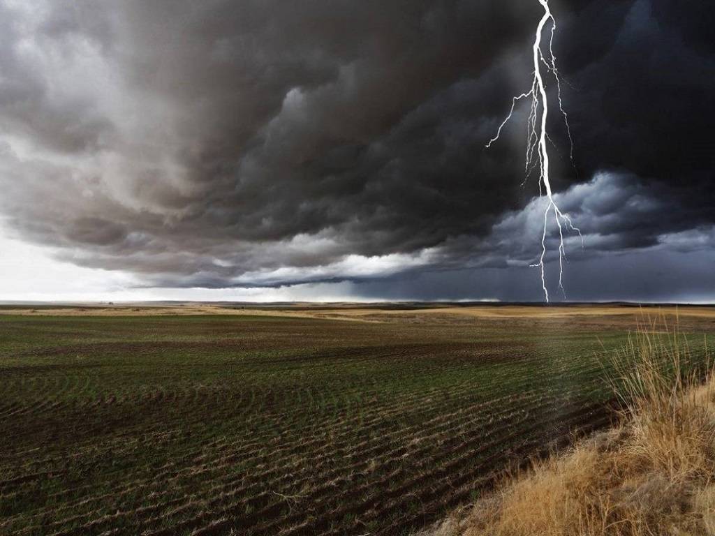 Farmer Alert! Maharashtra Farmers Should Take the Following Precautions During Thunderstorms and Lightning