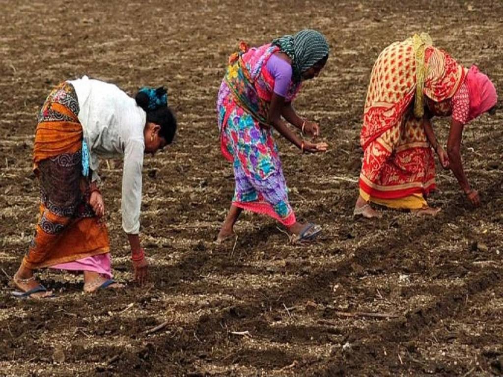 Maharashtra Farmers Should Follow These Agro-based Advisories Till 28th May 2022.