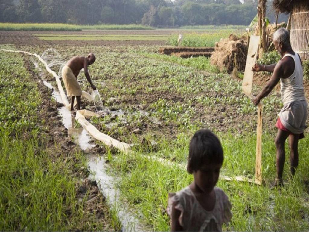 Organic Farmers in Bihar are Struggling with Low Yield and High Input Cost.