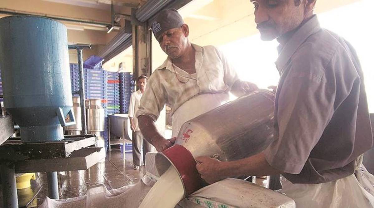 Delhi Milk Scheme in loss