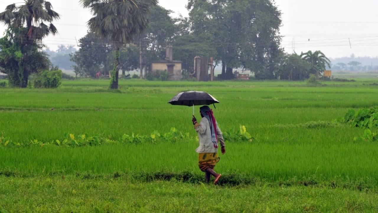 IMD Predicts a Delay in the Arrival of Monsoon in Kerala, Dry Spells Continue in These States