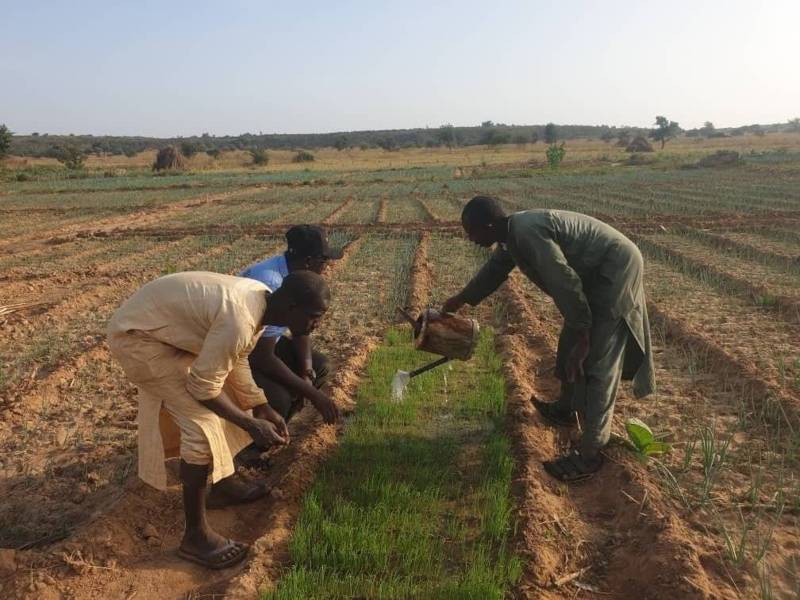 Farmers Urged to Only Buy Sowing Seeds From Authorized Dealers: Agriculture Department