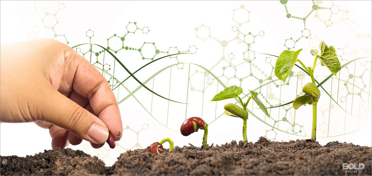 The Future of CRISPR Technologies in Agriculture