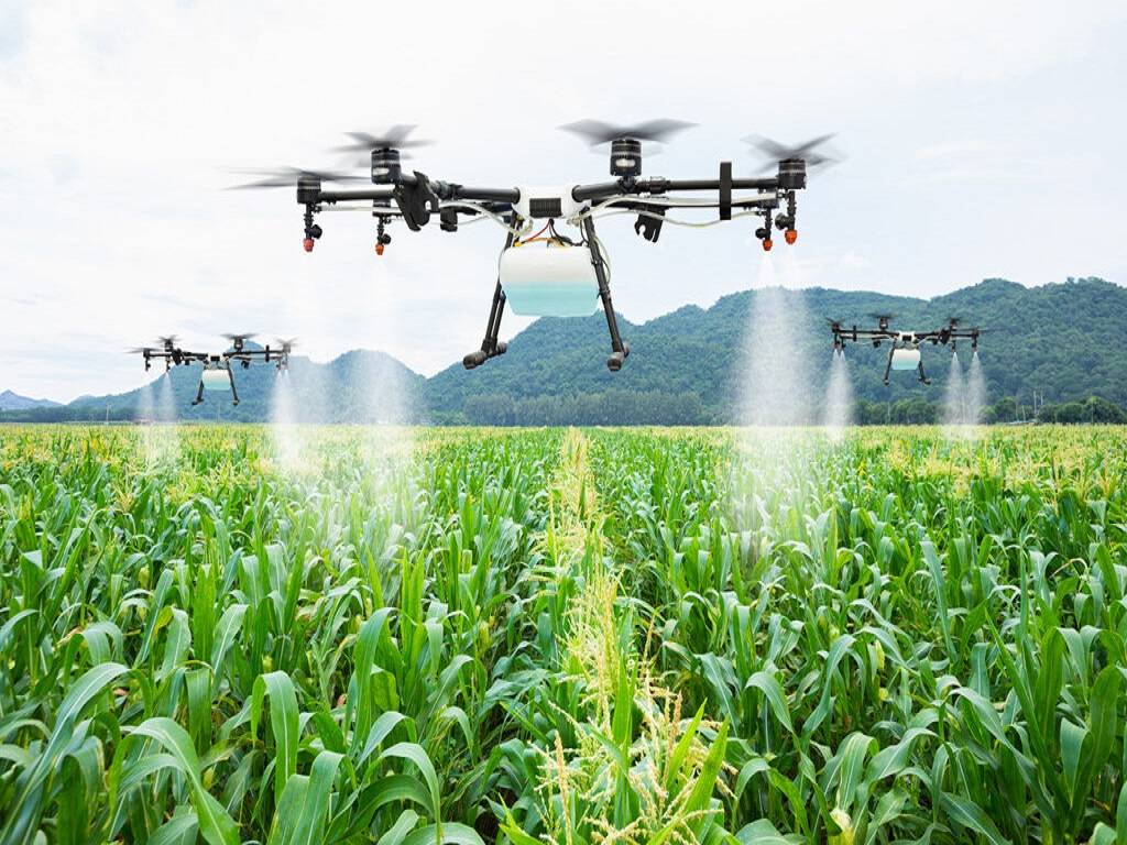 ANGRAU Recruitment 2022 notification for Agricultural Drone Pilot cum Trainer vacancies