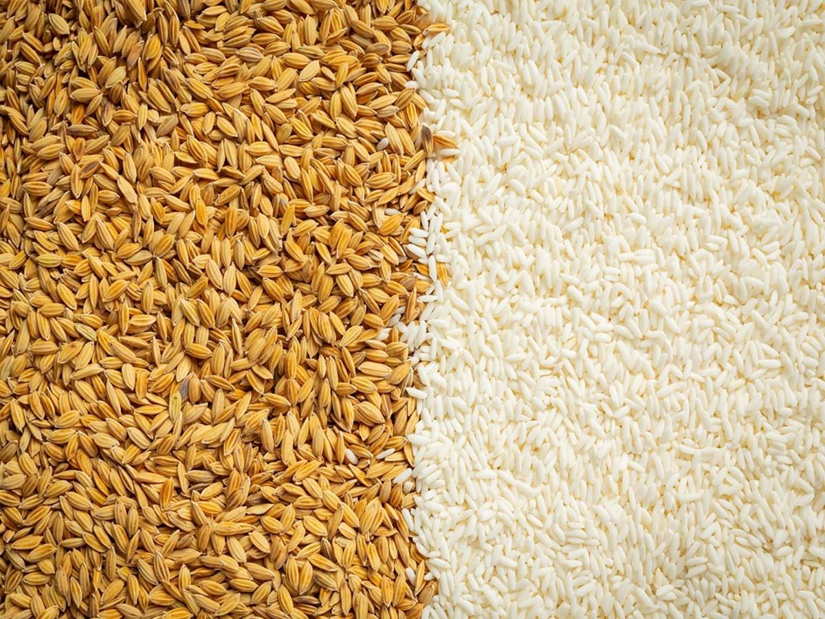 Prices have begun to reduce after the advent of Aman rice on the market