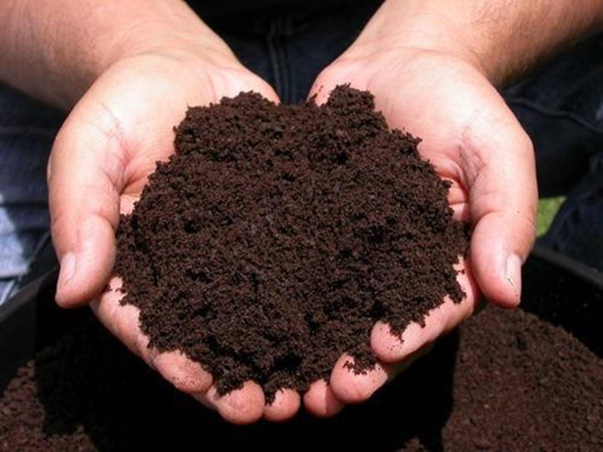 How to prepare Organic Manure at Home