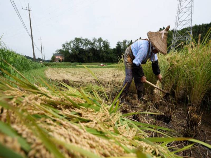 Natural Farming