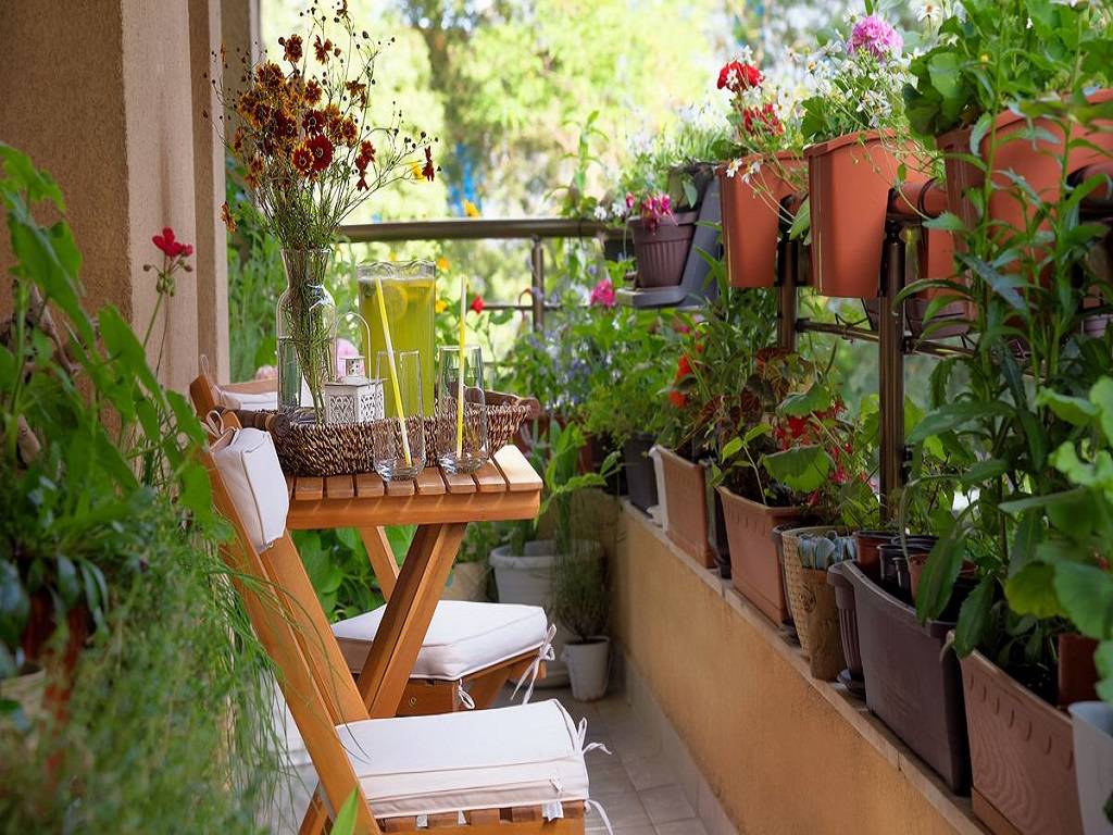 Small Space Gardening Tips: Learn How to Grow More Plants in Less Space