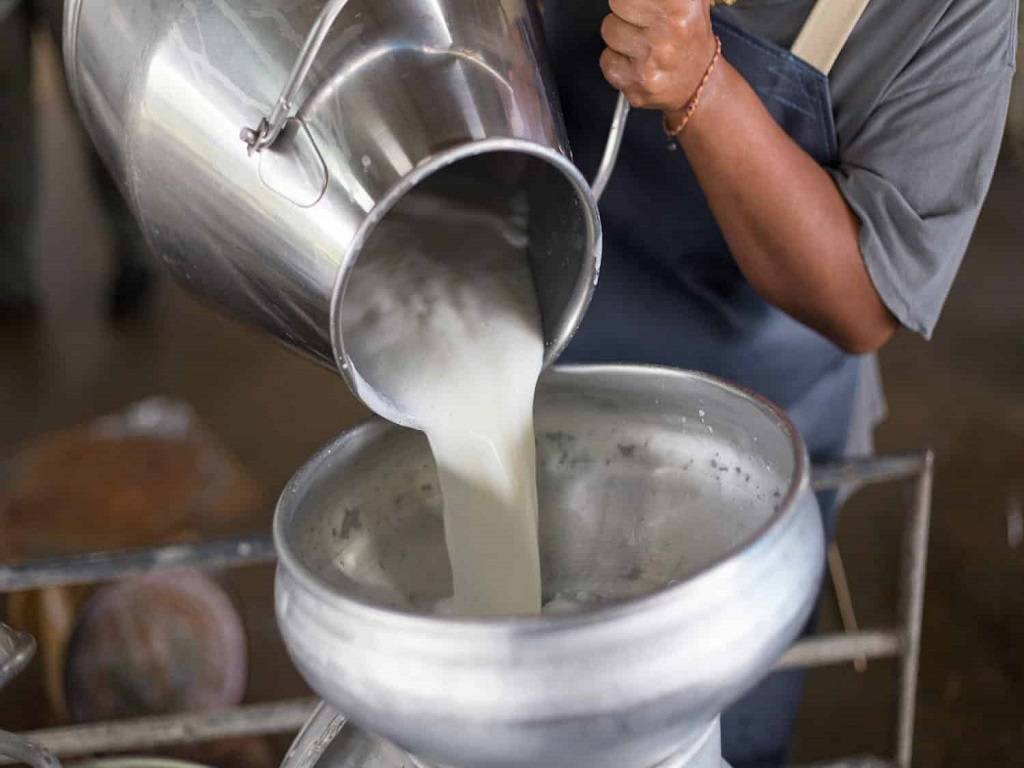 5-8% Rise in Milk Prices Hits Consumers & Dairy Businesses Alike