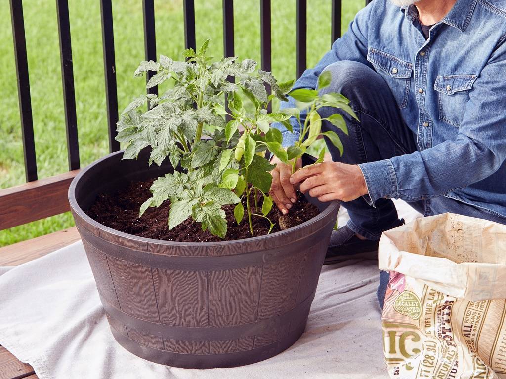 Smaller vegetables (such as lettuce, herbs, and radishes) can be stored in 1- to 3-gallon containers