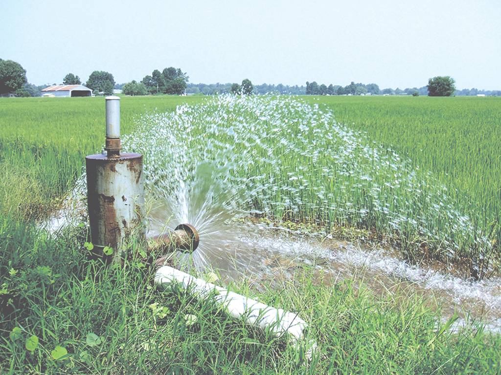 Crop Irrigation