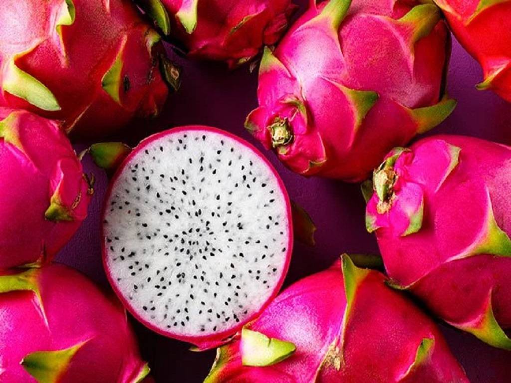 10 Fascinating Facts About Dragon Fruit and Its Surprising Benefits.