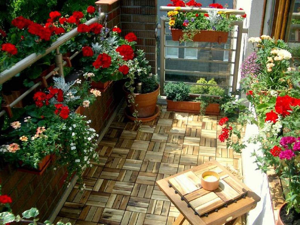 5 Types of Plants You Can Use to Make an Awesome Garden in Your Balcony