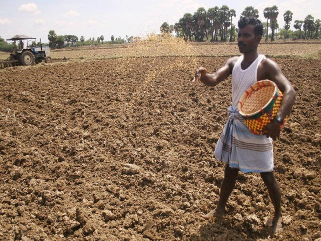 According to the state government, no farmer in Malwa will be allowed to plant paddy before June 17