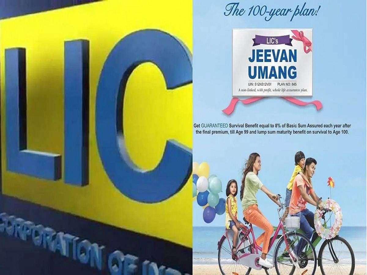 The Jeevan Umang policy from LIC is one such policy that provides both income and protection to the policyholder's family.