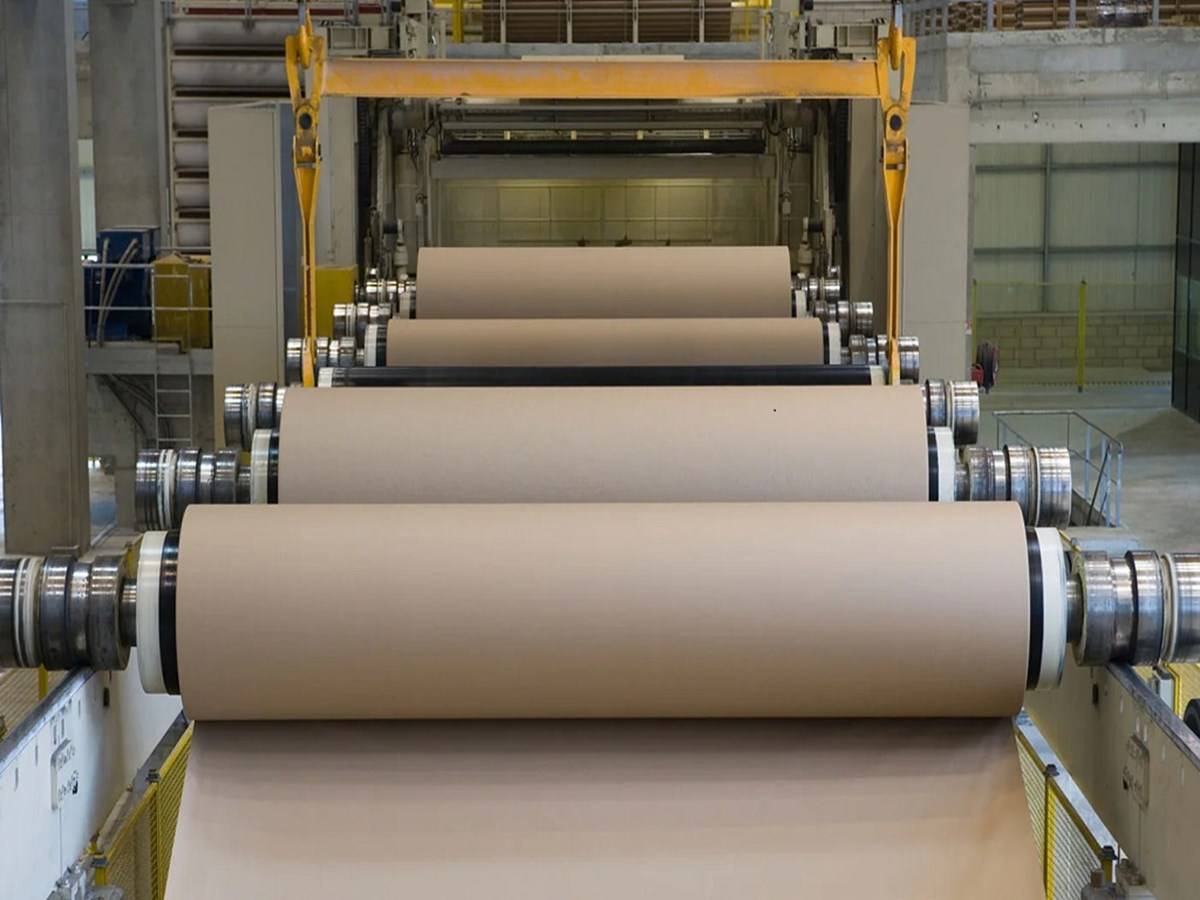 The paper sector provides excellent potential for large as well as small and medium-sized businesses.
