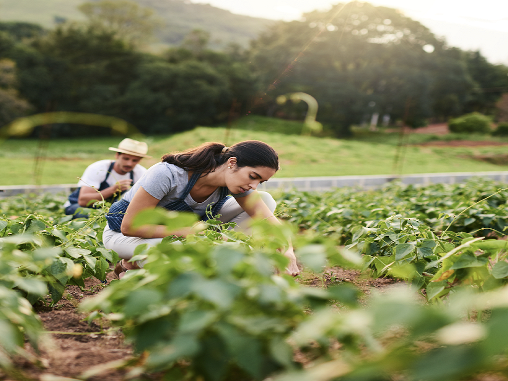 The grower success team helps farmers and ranchers understand the historical data required and enables the efficient collection of this data.