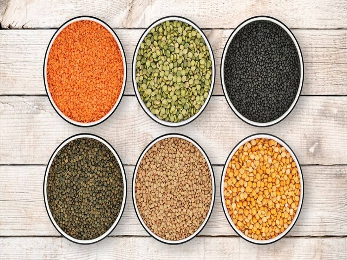 It is one of the most significant pulse crops that are high in protein ,The world's second-largest producer of lentils is India.